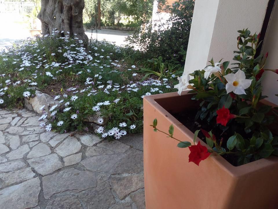 Azienda Agricola B&B Macchiaria Vieste Exterior photo