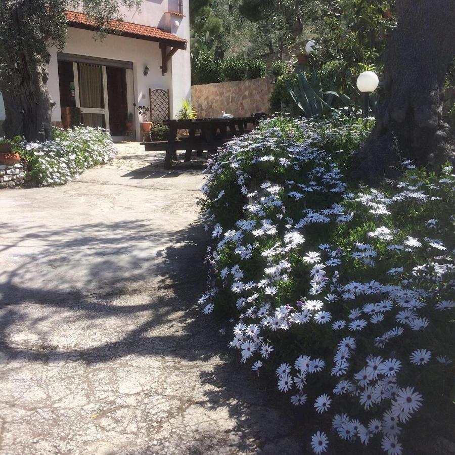 Azienda Agricola B&B Macchiaria Vieste Exterior photo
